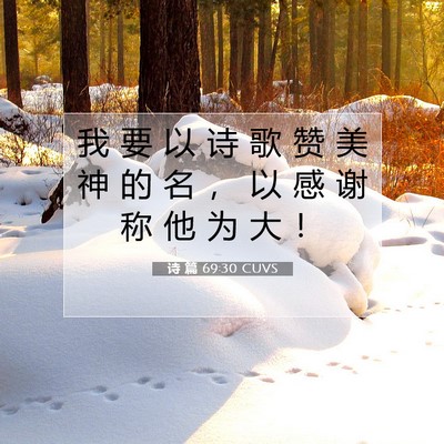 Picture 07 - 诗 篇 69:30 CUVS - 我 要 以 诗 歌 赞 美 神 的 名 ， 以 - Bible Verse Picture
