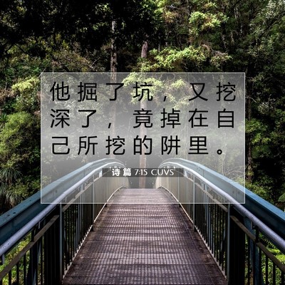 Picture 07 - 诗 篇 7:15 CUVS - 他 掘 了 坑 ， 又 挖 深 了 ， 竟 掉 - Bible Verse Picture