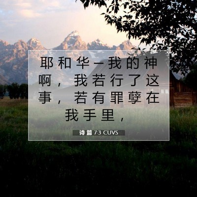 Picture 07 - 诗 篇 7:3 CUVS - 耶 和 华 ─ 我 的 神 啊 ， 我 若 行 - Bible Verse Picture