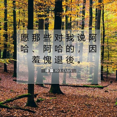 Picture 07 - 诗 篇 70:3 CUVS - 愿 那 些 对 我 说 阿 哈 、 阿 哈 的 - Bible Verse Picture