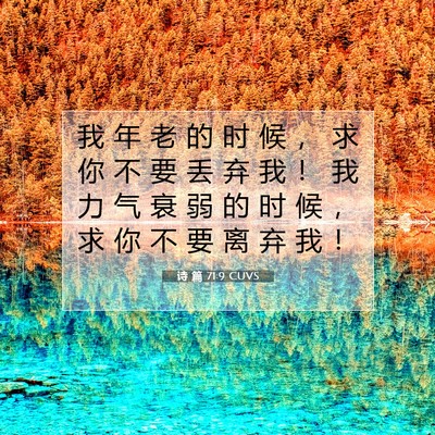 Picture 07 - 诗 篇 71:9 CUVS - 我 年 老 的 时 候 ， 求 你 不 要 丢 - Bible Verse Picture