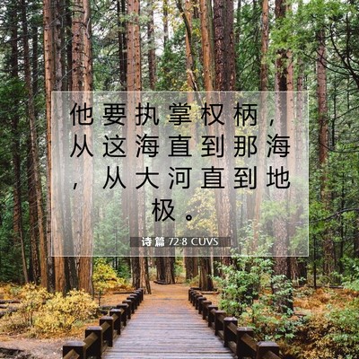 Picture 07 - 诗 篇 72:8 CUVS - 他 要 执 掌 权 柄 ， 从 这 海 直 到 - Bible Verse Picture