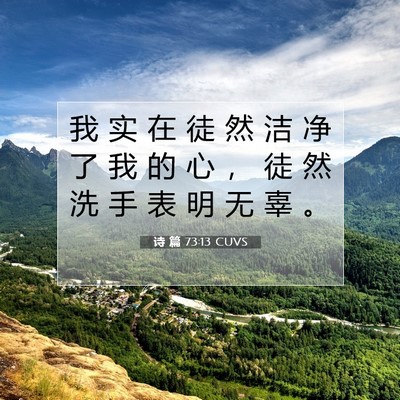 Picture 07 - 诗 篇 73:13 CUVS - 我 实 在 徒 然 洁 净 了 我 的 心 ， - Bible Verse Picture