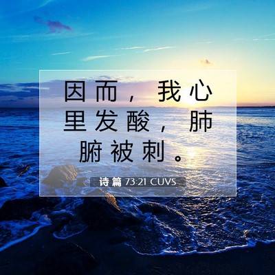Picture 07 - 诗 篇 73:21 CUVS - 因 而 ， 我 心 里 发 酸 ， 肺 腑 被 - Bible Verse Picture