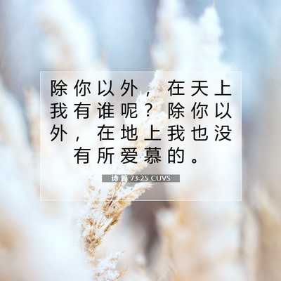 Picture 07 - 诗 篇 73:25 CUVS - 除 你 以 外 ， 在 天 上 我 有 谁 呢 - Bible Verse Picture