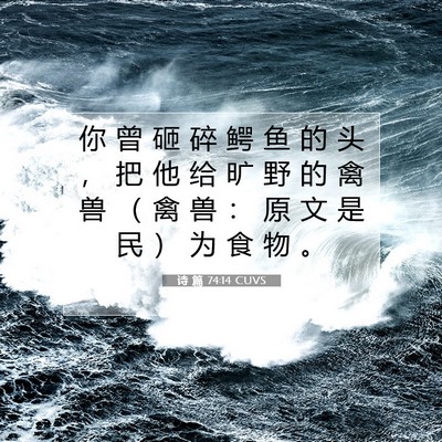 Picture 07 - 诗 篇 74:14 CUVS - 你 曾 砸 碎 鳄 鱼 的 头 ， 把 他 给 - Bible Verse Picture