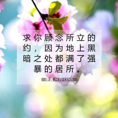 Picture 07 - 诗 篇 74:20 CUVS - 求 你 顾 念 所 立 的 约 ， 因 为 地 - Bible Verse Picture