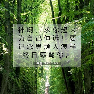 Picture 07 - 诗 篇 74:22 CUVS - 神 啊 ， 求 你 起 来 为 自 己 伸 诉 - Bible Verse Picture