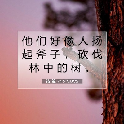 Picture 07 - 诗 篇 74:5 CUVS - 他 们 好 像 人 扬 起 斧 子 ， 砍 伐 - Bible Verse Picture