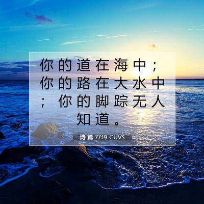 Picture 07 - 诗 篇 77:19 CUVS - 你 的 道 在 海 中 ； 你 的 路 在 大 - Bible Verse Picture