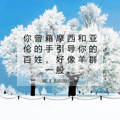 Picture 07 - 诗 篇 77:20 CUVS - 你 曾 藉 摩 西 和 亚 伦 的 手 引 导 - Bible Verse Picture