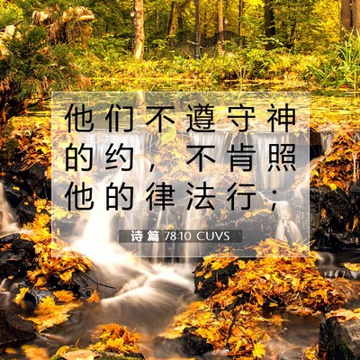 Picture 07 - 诗 篇 78:10 CUVS - 他 们 不 遵 守 神 的 约 ， 不 肯 照 - Bible Verse Picture