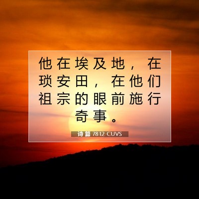 Picture 07 - 诗 篇 78:12 CUVS - 他 在 埃 及 地 ， 在 琐 安 田 ， 在 - Bible Verse Picture