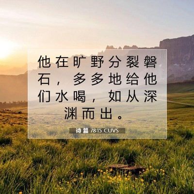 Picture 07 - 诗 篇 78:15 CUVS - 他 在 旷 野 分 裂 磐 石 ， 多 多 地 - Bible Verse Picture