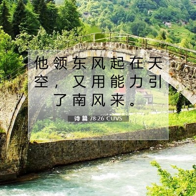 Picture 07 - 诗 篇 78:26 CUVS - 他 领 东 风 起 在 天 空 ， 又 用 能 - Bible Verse Picture