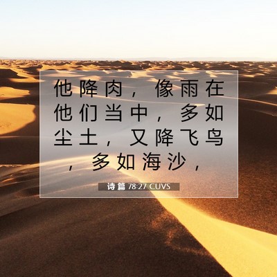 Picture 07 - 诗 篇 78:27 CUVS - 他 降 肉 ， 像 雨 在 他 们 当 中 ， - Bible Verse Picture