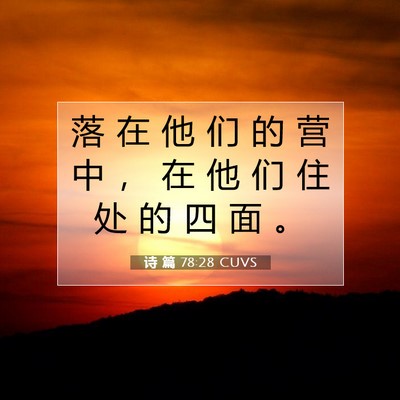 Picture 07 - 诗 篇 78:28 CUVS - 落 在 他 们 的 营 中 ， 在 他 们 住 - Bible Verse Picture