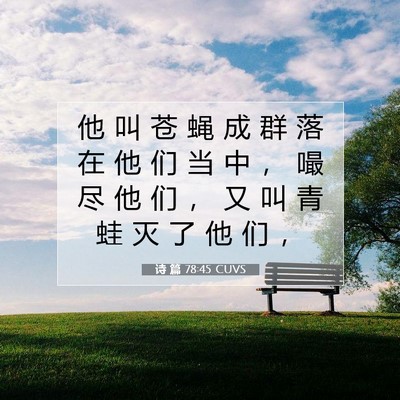 Picture 07 - 诗 篇 78:45 CUVS - 他 叫 苍 蝇 成 群 落 在 他 们 当 中 - Bible Verse Picture