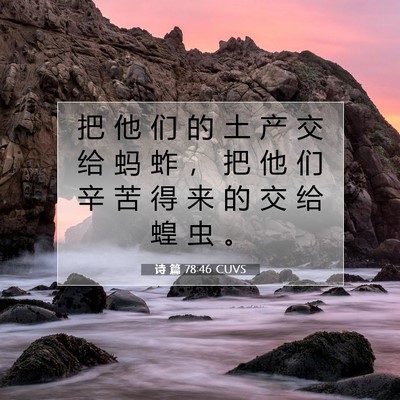 Picture 07 - 诗 篇 78:46 CUVS - 把 他 们 的 土 产 交 给 蚂 蚱 ， 把 - Bible Verse Picture