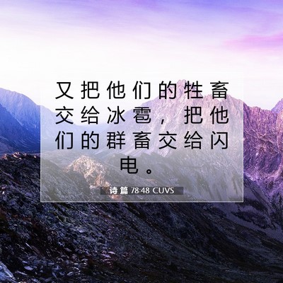 Picture 07 - 诗 篇 78:48 CUVS - 又 把 他 们 的 牲 畜 交 给 冰 雹 ， - Bible Verse Picture