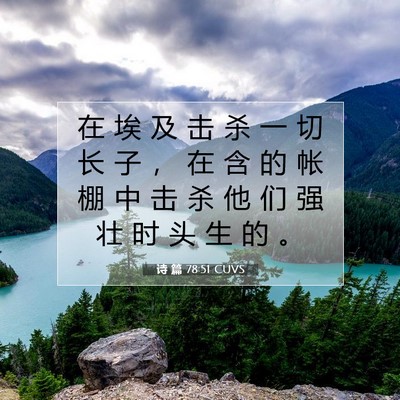 Picture 07 - 诗 篇 78:51 CUVS - 在 埃 及 击 杀 一 切 长 子 ， 在 含 - Bible Verse Picture