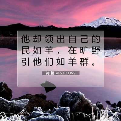 Picture 07 - 诗 篇 78:52 CUVS - 他 却 领 出 自 己 的 民 如 羊 ， 在 - Bible Verse Picture