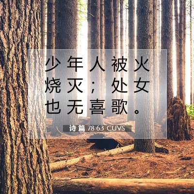 Picture 07 - 诗 篇 78:63 CUVS - 少 年 人 被 火 烧 灭 ； 处 女 也 无 - Bible Verse Picture