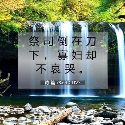Picture 07 - 诗 篇 78:64 CUVS - 祭 司 倒 在 刀 下 ， 寡 妇 却 不 哀 - Bible Verse Picture