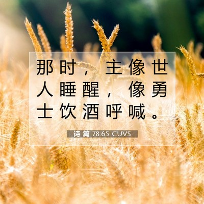 Picture 07 - 诗 篇 78:65 CUVS - 那 时 ， 主 像 世 人 睡 醒 ， 像 勇 - Bible Verse Picture