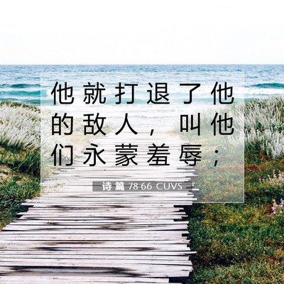 Picture 07 - 诗 篇 78:66 CUVS - 他 就 打 退 了 他 的 敌 人 ， 叫 他 - Bible Verse Picture
