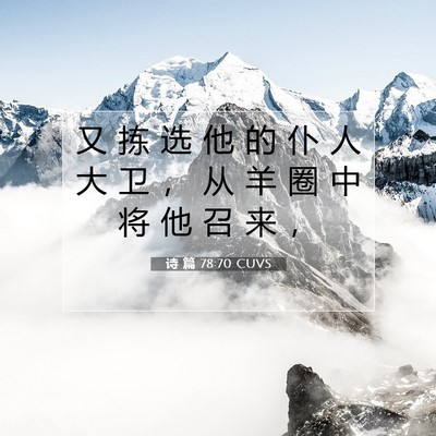 Picture 07 - 诗 篇 78:70 CUVS - 又 拣 选 他 的 仆 人 大 卫 ， 从 羊 - Bible Verse Picture