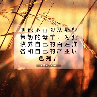 Picture 07 - 诗 篇 78:71 CUVS - 叫 他 不 再 跟 从 那 些 带 奶 的 母 - Bible Verse Picture