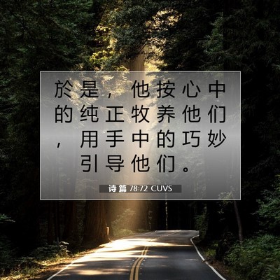 Picture 07 - 诗 篇 78:72 CUVS - 於 是 ， 他 按 心 中 的 纯 正 牧 养 - Bible Verse Picture