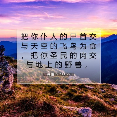 Picture 07 - 诗 篇 79:2 CUVS - 把 你 仆 人 的 尸 首 交 与 天 空 的 - Bible Verse Picture