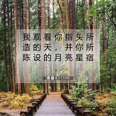 Picture 07 - 诗 篇 8:3 CUVS - 我 观 看 你 指 头 所 造 的 天 ， 并 - Bible Verse Picture