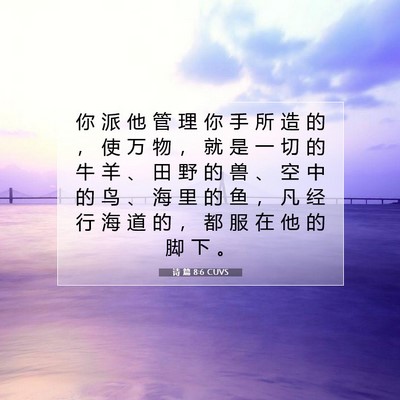 Picture 07 - 诗 篇 8:6 CUVS - 你 派 他 管 理 你 手 所 造 的 ， 使 - Bible Verse Picture