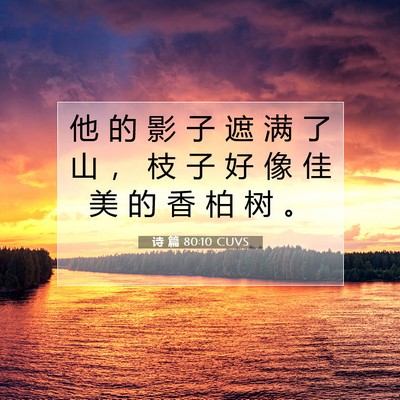 Picture 07 - 诗 篇 80:10 CUVS - 他 的 影 子 遮 满 了 山 ， 枝 子 好 - Bible Verse Picture