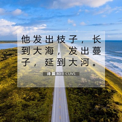 Picture 07 - 诗 篇 80:11 CUVS - 他 发 出 枝 子 ， 长 到 大 海 ， 发 - Bible Verse Picture