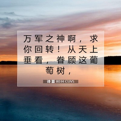 Picture 07 - 诗 篇 80:14 CUVS - 万 军 之 神 啊 ， 求 你 回 转 ！ 从 - Bible Verse Picture