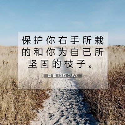Picture 07 - 诗 篇 80:15 CUVS - 保 护 你 右 手 所 栽 的 和 你 为 自 - Bible Verse Picture