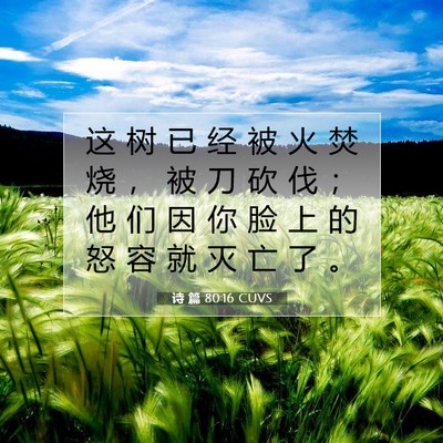 Picture 07 - 诗 篇 80:16 CUVS - 这 树 已 经 被 火 焚 烧 ， 被 刀 砍 - Bible Verse Picture