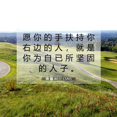 Picture 07 - 诗 篇 80:17 CUVS - 愿 你 的 手 扶 持 你 右 边 的 人 ， - Bible Verse Picture