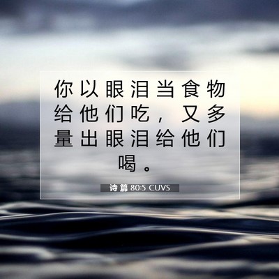 Picture 07 - 诗 篇 80:5 CUVS - 你 以 眼 泪 当 食 物 给 他 们 吃 ， - Bible Verse Picture