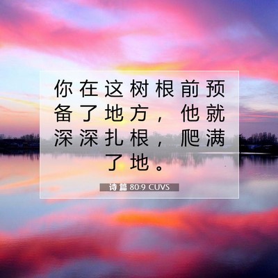 Picture 07 - 诗 篇 80:9 CUVS - 你 在 这 树 根 前 预 备 了 地 方 ， - Bible Verse Picture