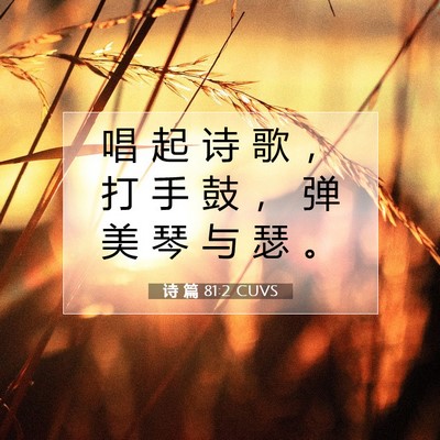 Picture 07 - 诗 篇 81:2 CUVS - 唱 起 诗 歌 ， 打 手 鼓 ， 弹 美 琴 - Bible Verse Picture