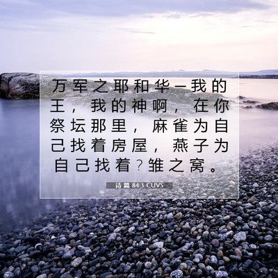Picture 07 - 诗 篇 84:3 CUVS - 万 军 之 耶 和 华 ─ 我 的 王 ， 我 - Bible Verse Picture