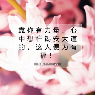 Picture 07 - 诗 篇 84:5 CUVS - 靠 你 有 力 量 、 心 中 想 往 锡 安 - Bible Verse Picture