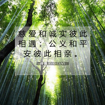 Picture 07 - 诗 篇 85:10 CUVS - 慈 爱 和 诚 实 彼 此 相 遇 ； 公 义 - Bible Verse Picture