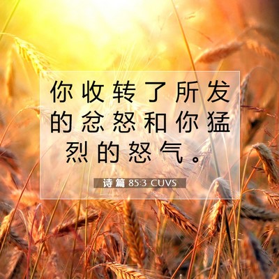Picture 07 - 诗 篇 85:3 CUVS - 你 收 转 了 所 发 的 忿 怒 和 你 猛 - Bible Verse Picture
