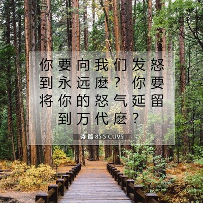 Picture 07 - 诗 篇 85:5 CUVS - 你 要 向 我 们 发 怒 到 永 远 麽 ？ - Bible Verse Picture